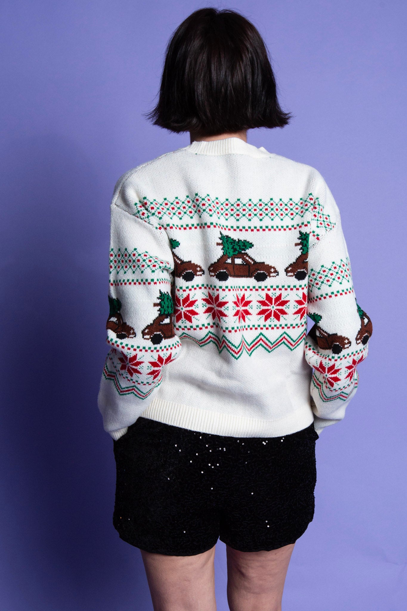 Festive Journey Sweater
