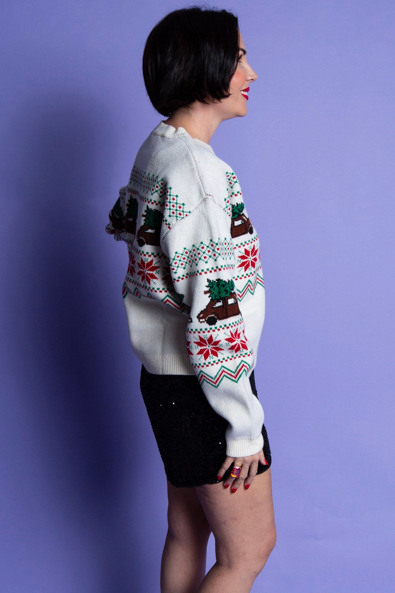 Festive Journey Sweater