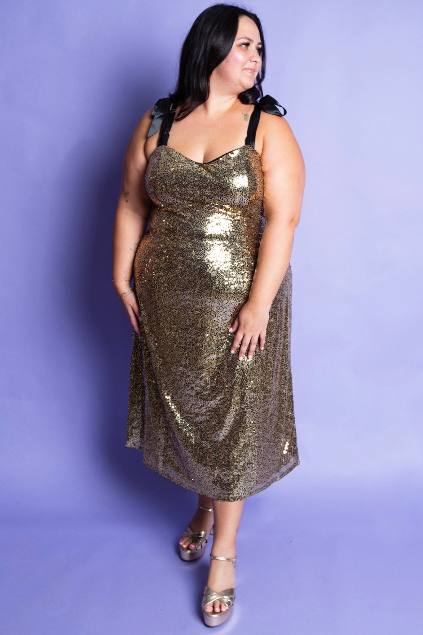 Sparkly Nights Dress | Plus