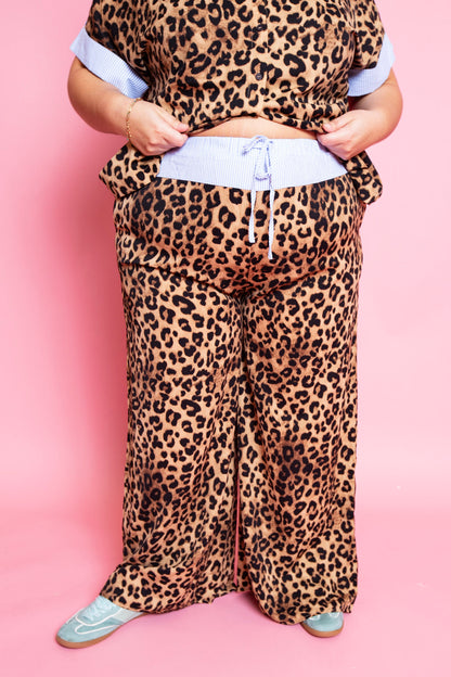 Sophisticated Leopard Set | Reg. & Plus