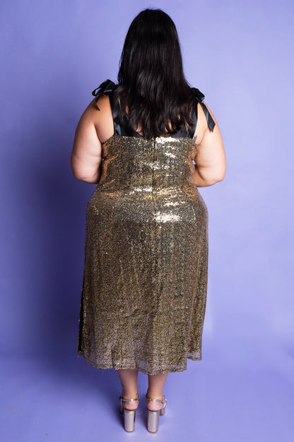 Sparkly Nights Dress | Plus