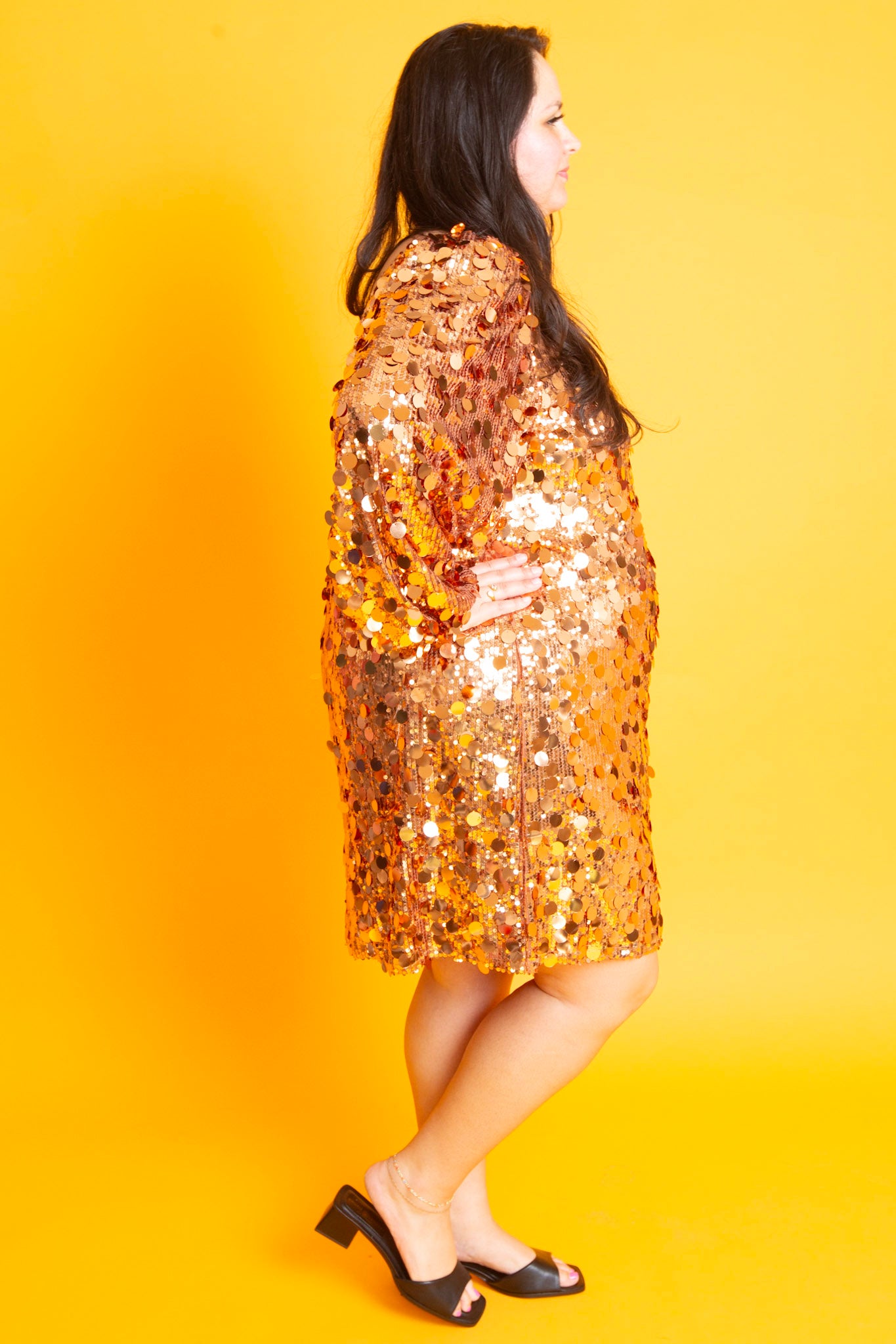 Shimmering Bronze Dress | Plus
