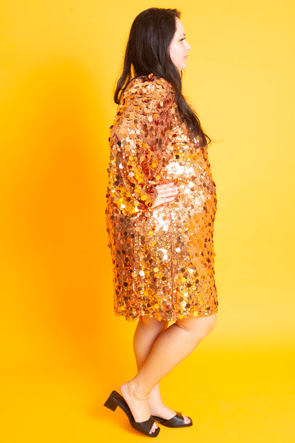 Shimmering Bronze Dress | Plus