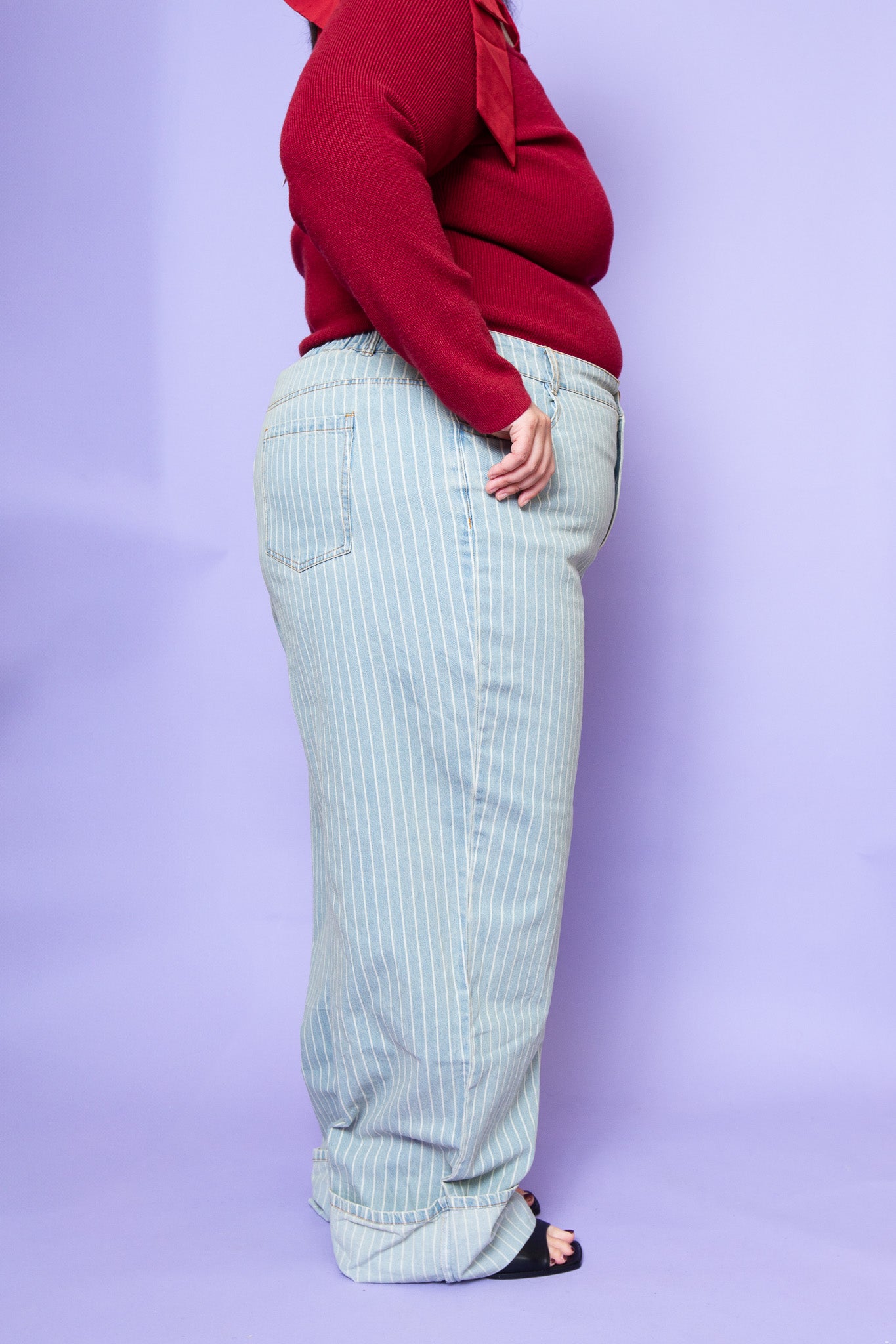 Stripe Wide Leg Denim | Plus